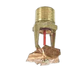 573751155-IMG.png