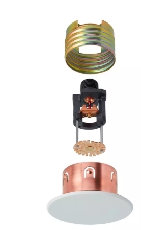 504511200-IMG.jpeg