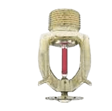 505121286-IMG.png