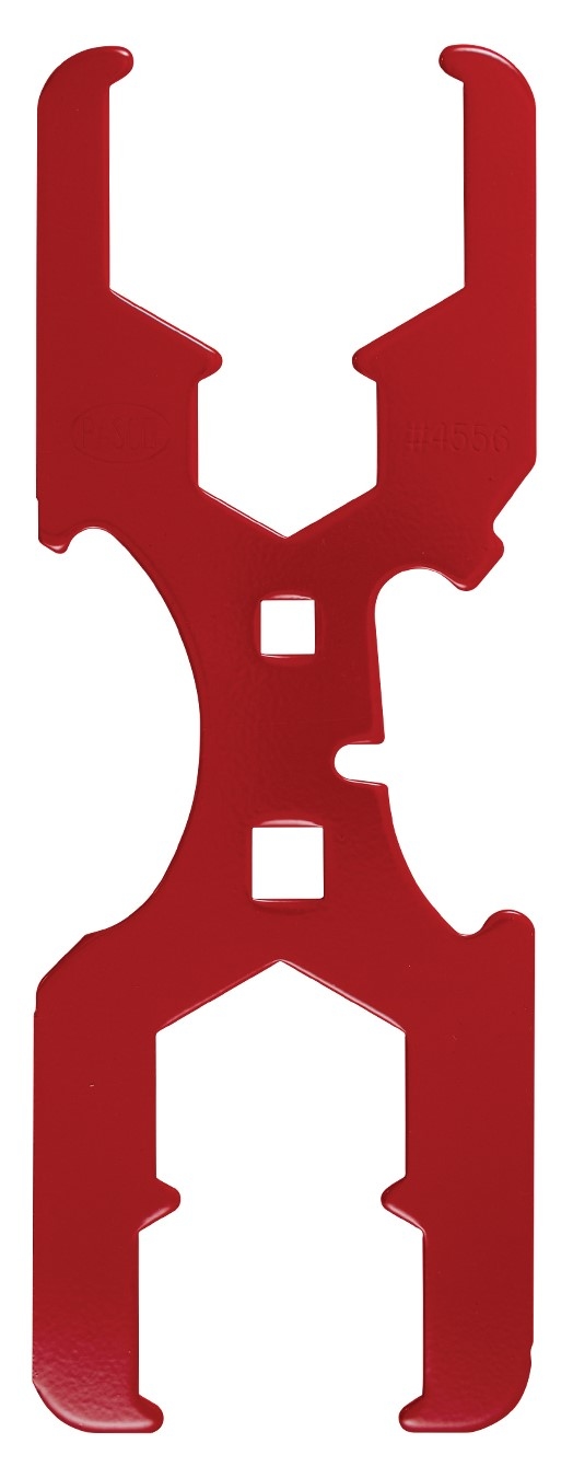 4556.jpg