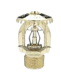 501101286-IMG.png
