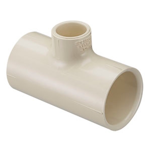 81.jpg