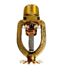 531021165-IMG.png