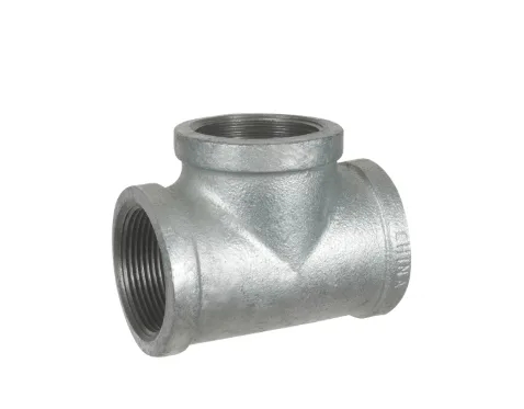 ZMGTR0503.png