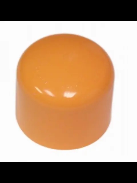 Tyco BlazeMaster 2" Orange CPVC Cap For Fire Sprinkler