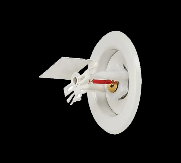 512154155-IMG.png
