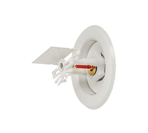 512154155-IMG.png