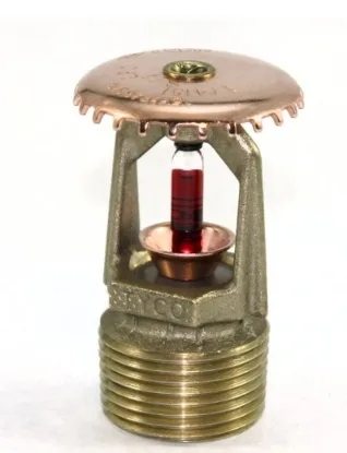 Tyco TY4151 Model TY-B 3/4" 155F 8K Standard Response and Upright Sprinkler Head in Natural Brass - 575901155