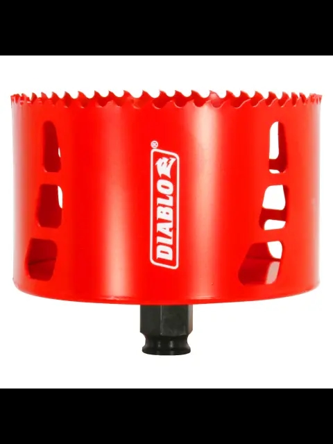DHS4250.jpg