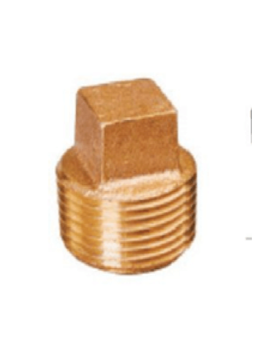 1" Brass Plug