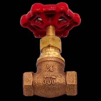 Globe Valves