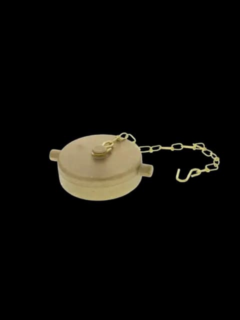 FPPI 07-250-00 2-1/2" NST Threaded Brass Cap W/Chain