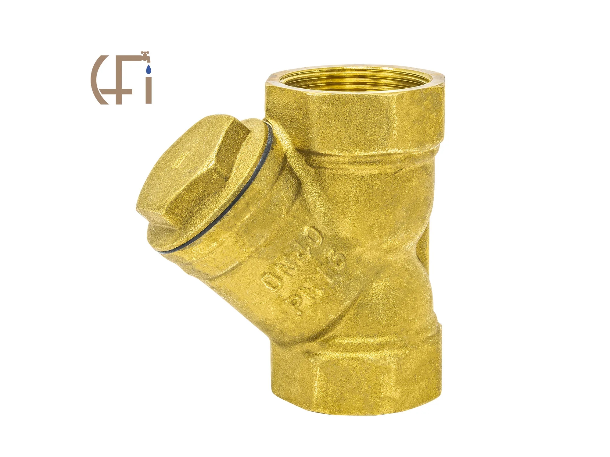 1" Y-PATTERN TxT Check Valve