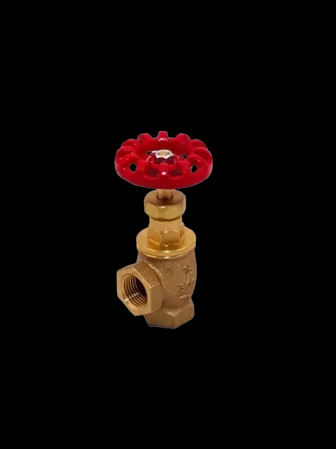 FPPI 4324000302 1/2" Globe Valve